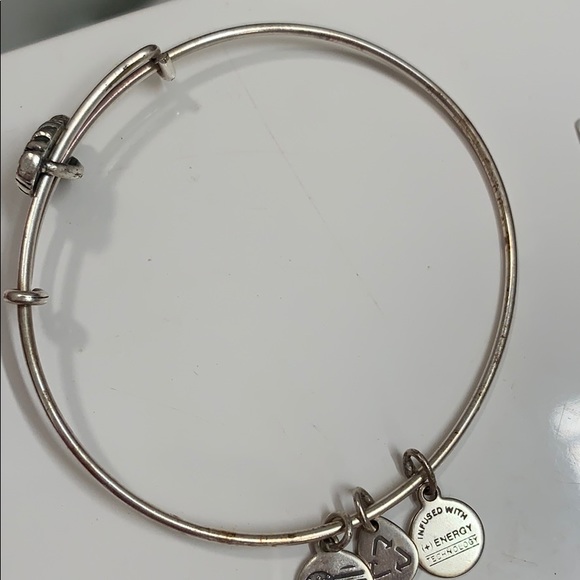 Alex and Ani Sailor’s Knot Charm Bracelet - Picture 3 of 3